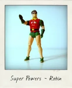 Robin