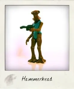 Hammerhead